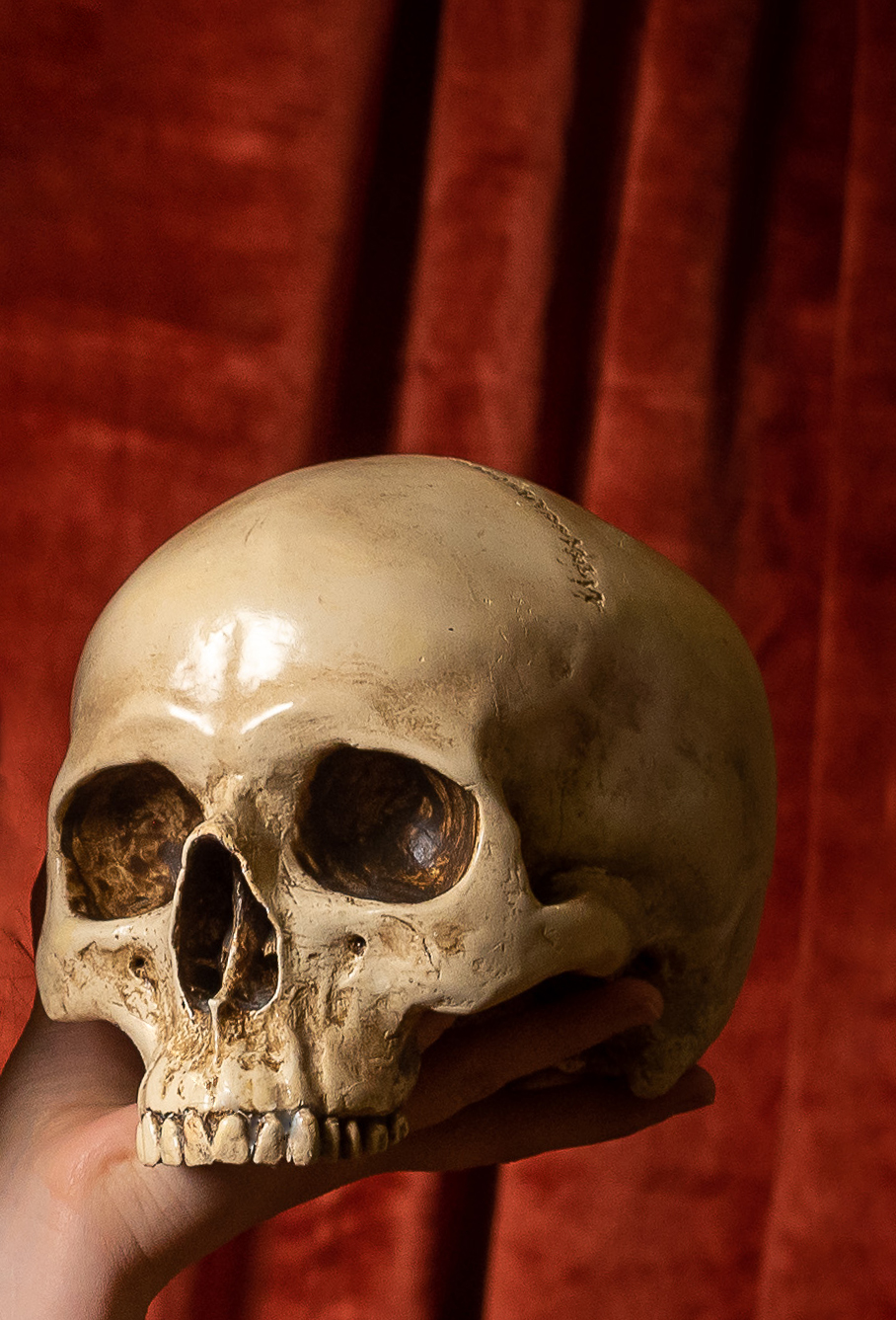 Photo du crâne de la Troupe du Crâne